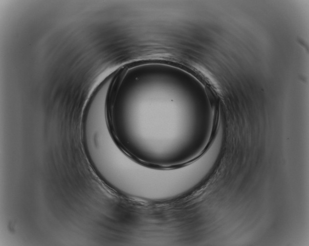 X0000091731324200708311152