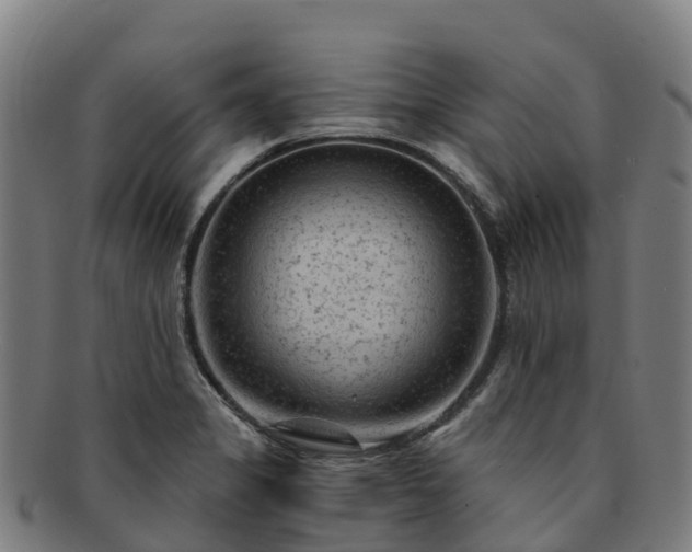 X0000091731325200708311152