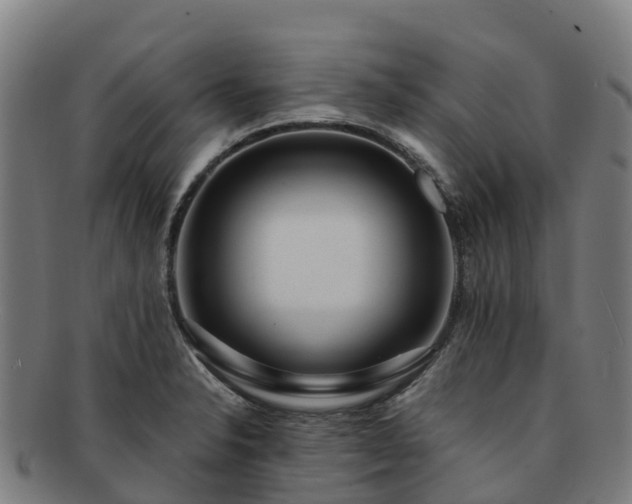 X0000091731326200708311152