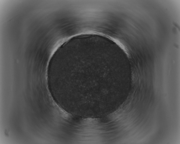 X0000091731327200708311152