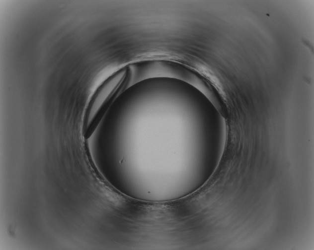X0000091731328200708311152