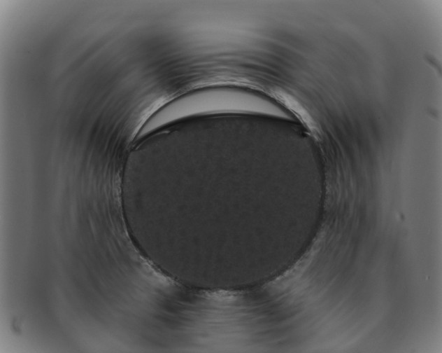 X0000091731329200708311152