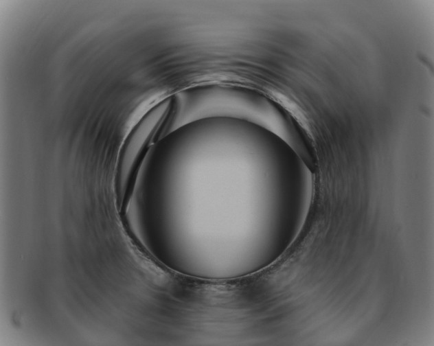 X0000091731330200708311152