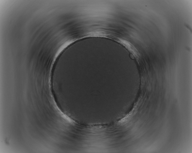 X0000091731331200708311152