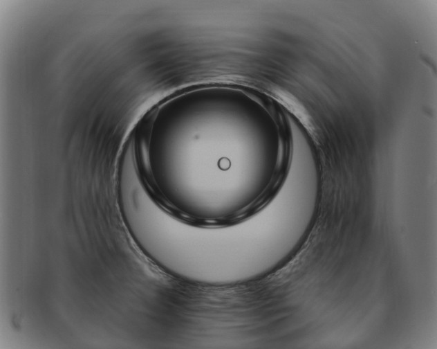 X0000091731332200708311152