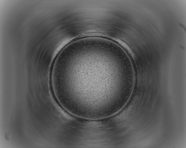 X0000091731333200708311152