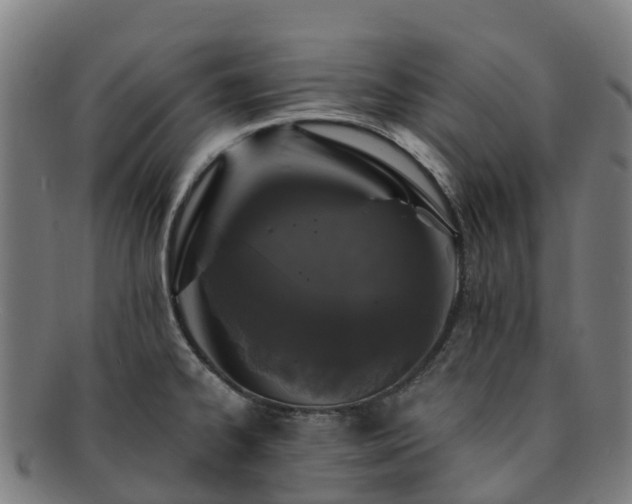 X0000091731334200708311152