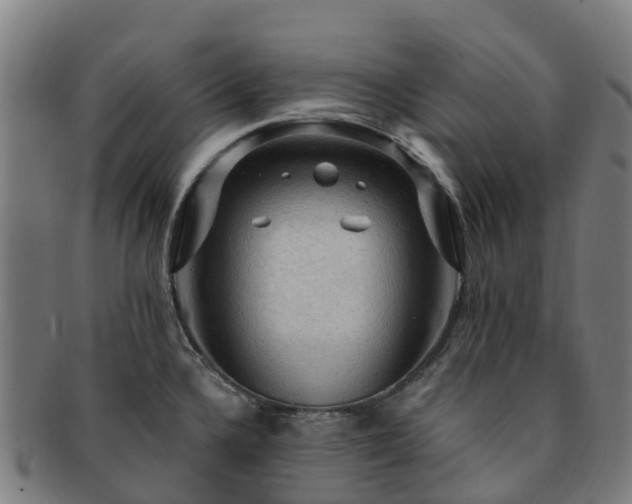 X0000091731336200708311152