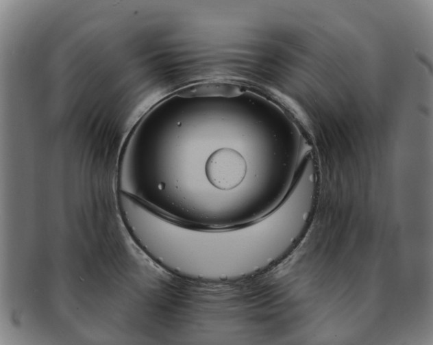 X0000091731338200708311152