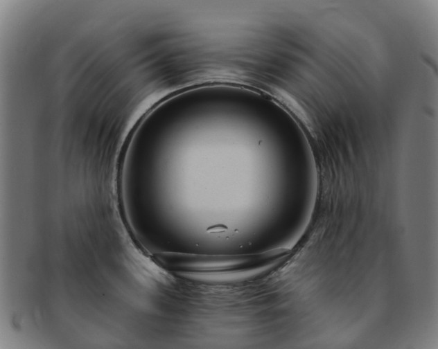 X0000091731339200708311152