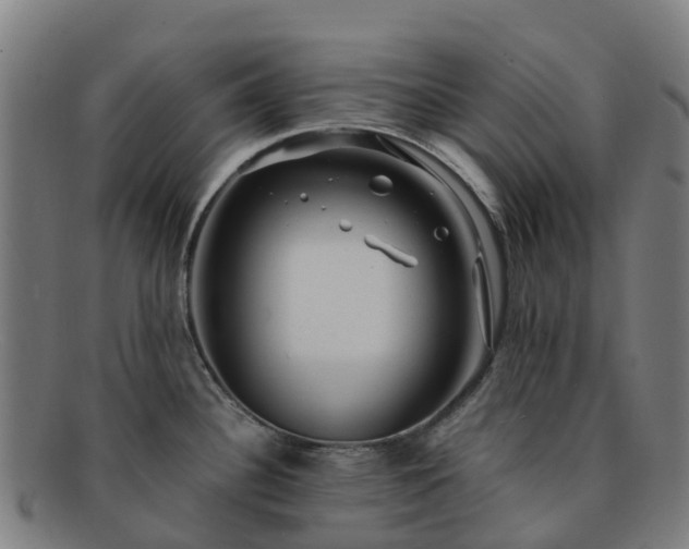 X0000091731340200708311152