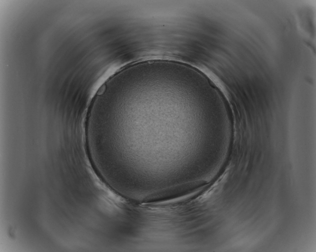 X0000091731341200708311152