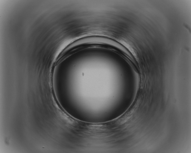X0000091731342200708311152