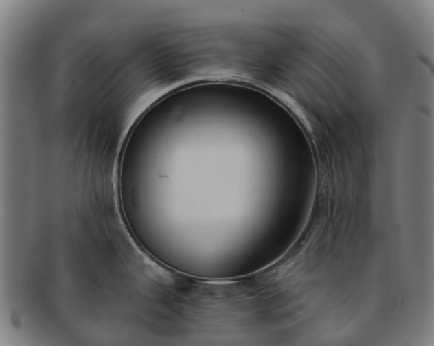 X0000091731343200708311152