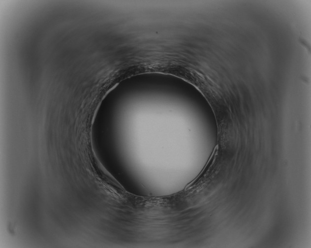 X0000091731345200708311152