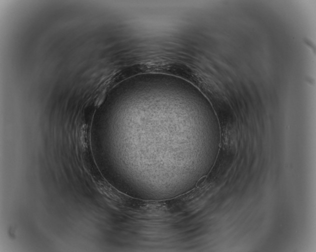 X0000091731346200708311152