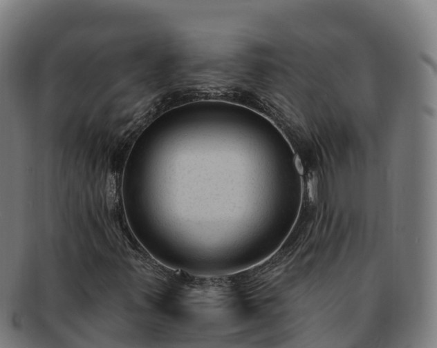 X0000091731347200708311152