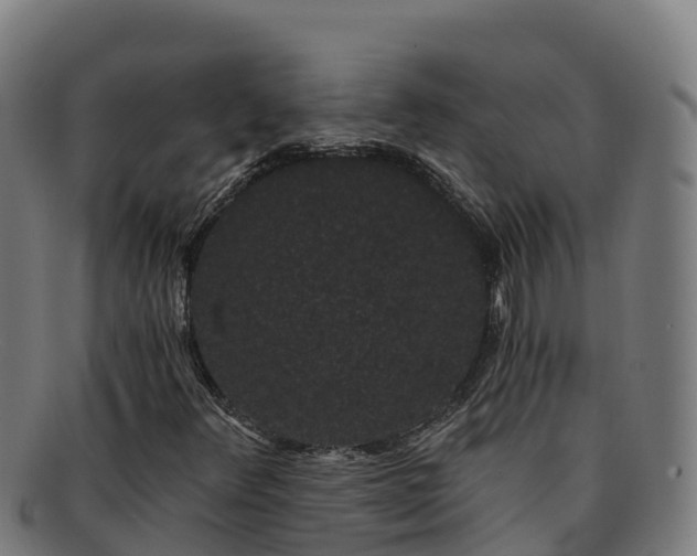 X0000091731348200708311152