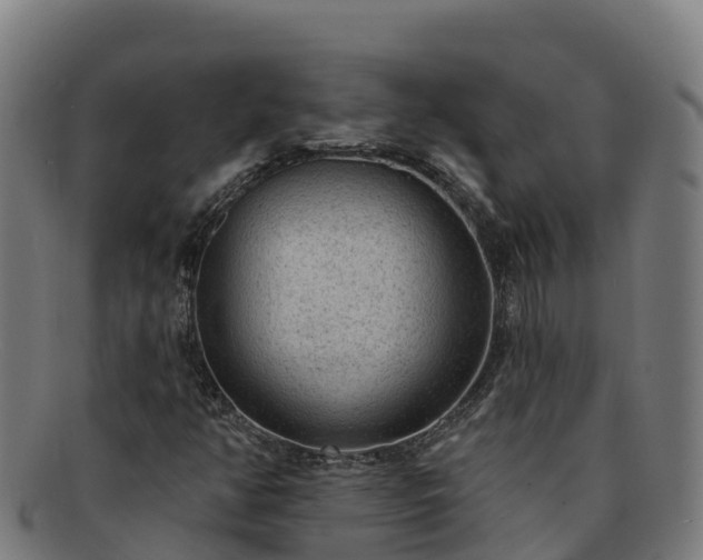X0000091731350200708311152