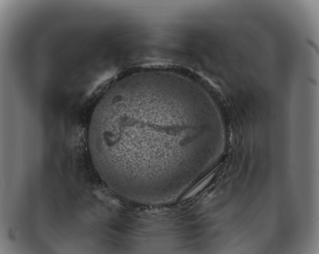X0000091731351200708311152