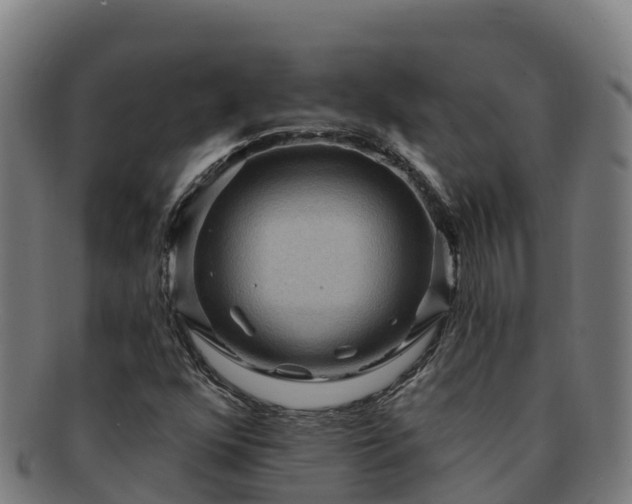 X0000091731352200708311152