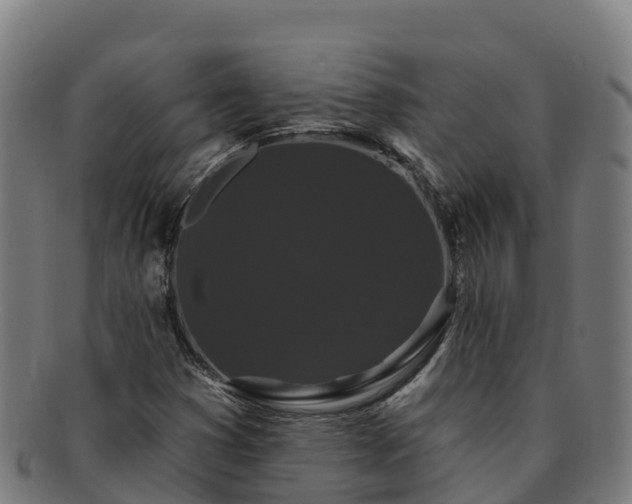 X0000091731353200708311152