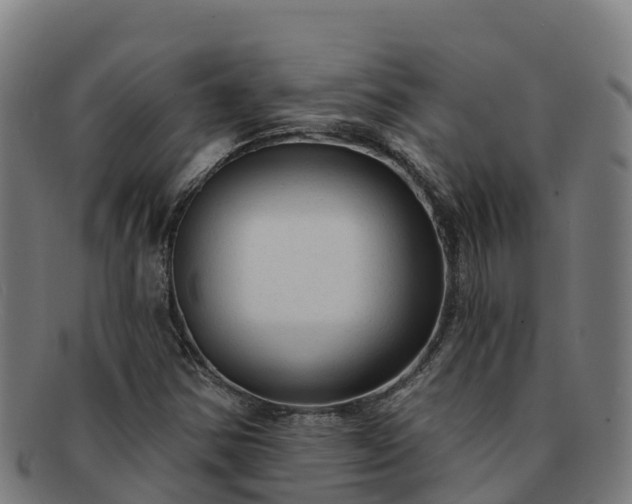 X0000091731354200708311152