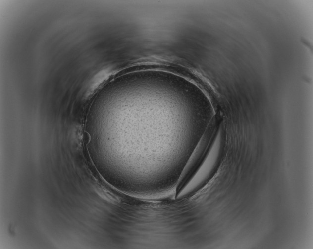 X0000091731355200708311152