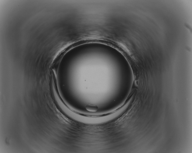 X0000091731356200708311152