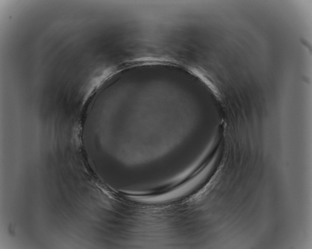 X0000091731357200708311152