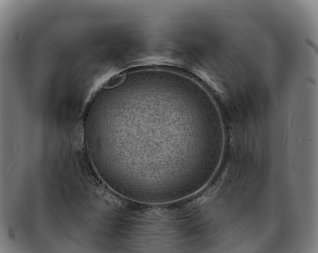 X0000091731358200708311152