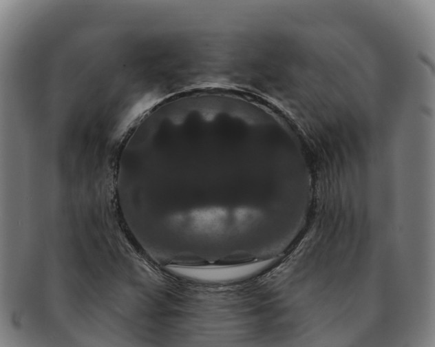 X0000091731359200708311152
