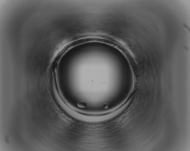 X0000091731360200708311152