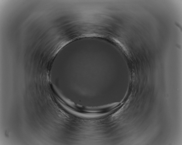 X0000091731361200708311152