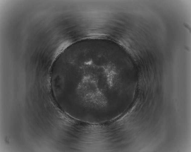 X0000091731362200708311152