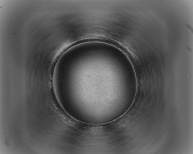 X0000091731363200708311152