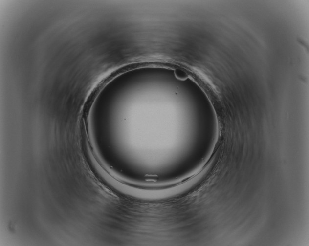 X0000091731364200708311152