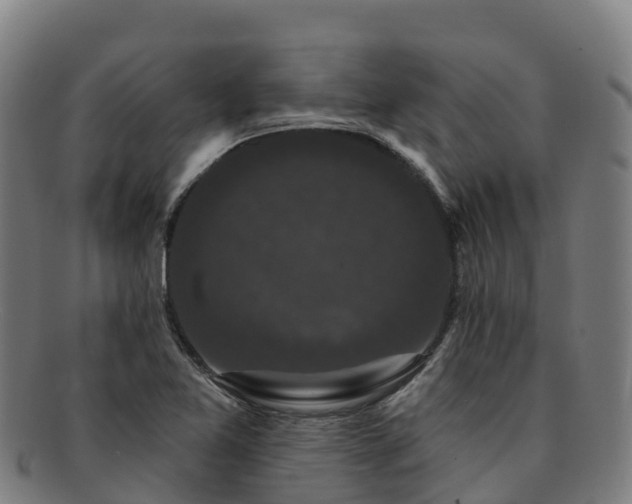 X0000091731365200708311152