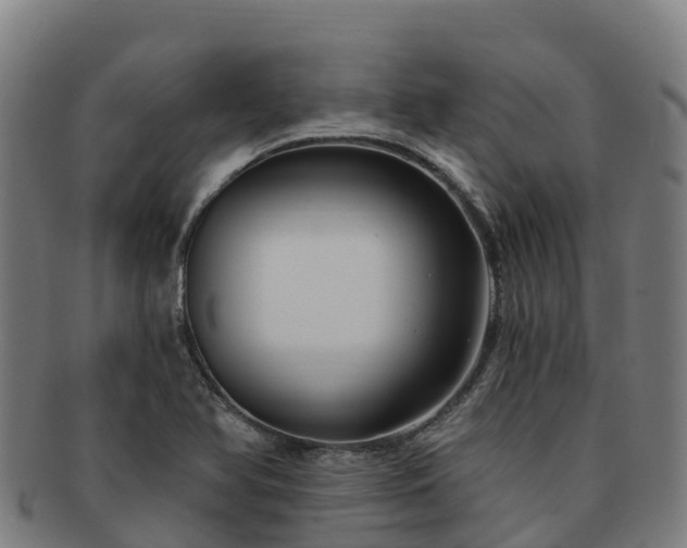 X0000091731366200708311152
