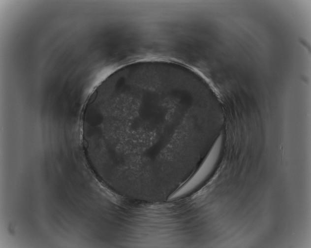 X0000091731367200708311152