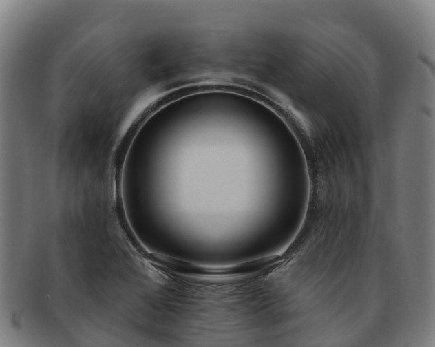 X0000091731368200708311152