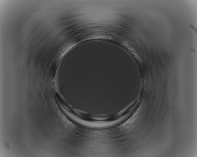 X0000091731369200708311152