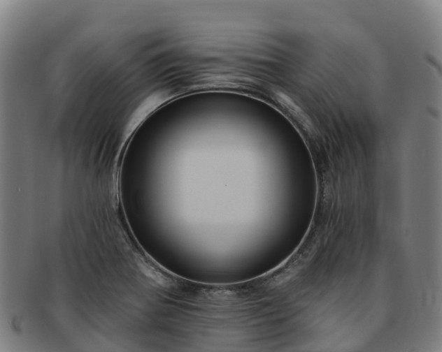 X0000091731370200708311151