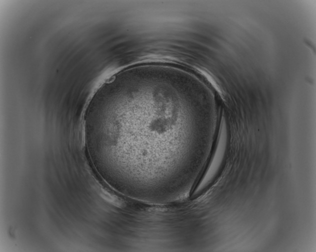 X0000091731371200708311151