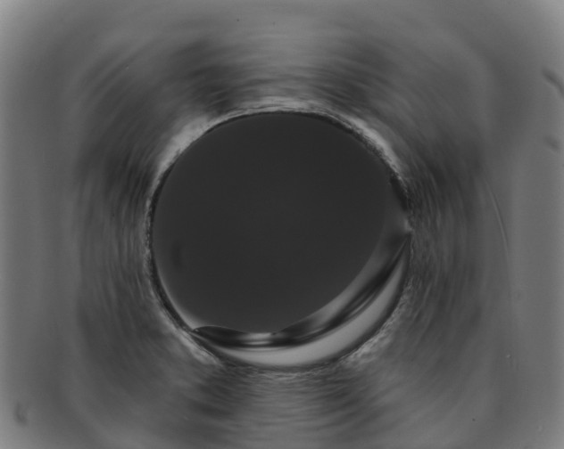 X0000091731373200708311151