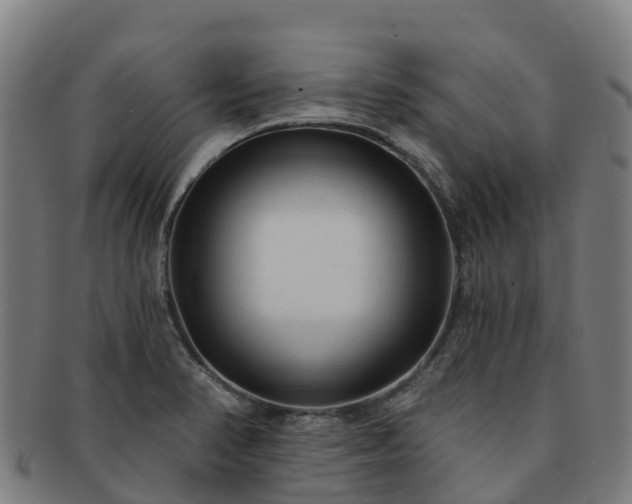 X0000091731374200708311151