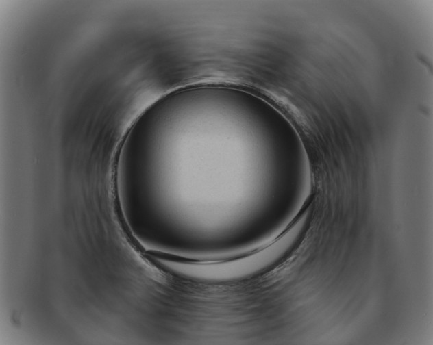 X0000091731375200708311151