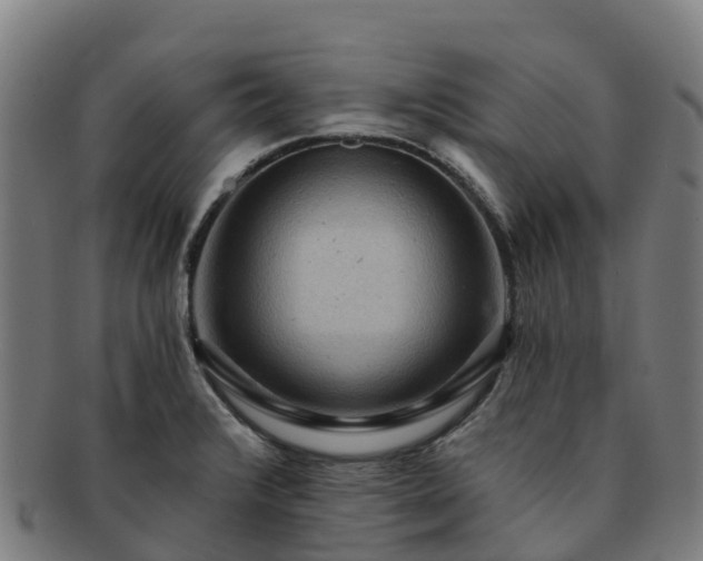 X0000091731376200708311151