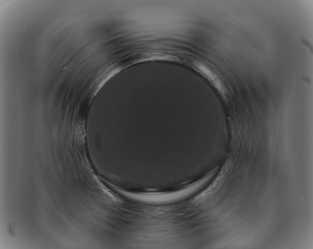 X0000091731377200708311151