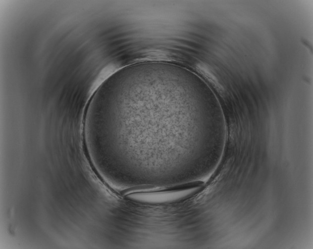 X0000091731378200708311151